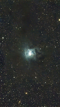 Iris  Nebula